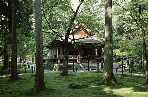 苔が美しい京都大原三千院の宸殿(しんでん)