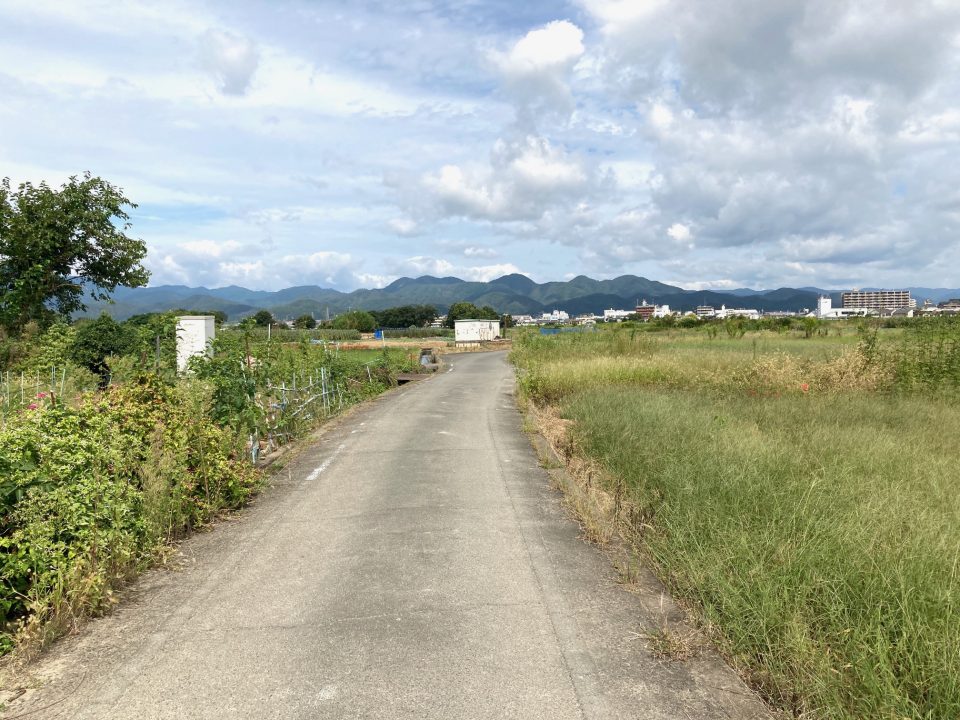 のどかな田園風景