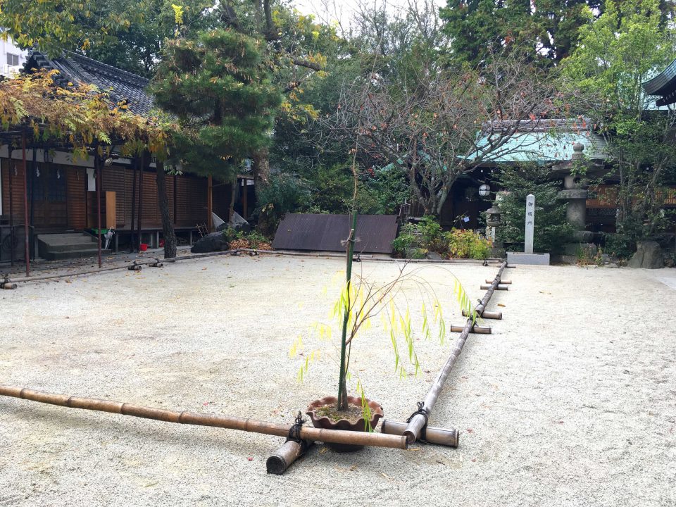 白峯神宮 蹴鞠の庭