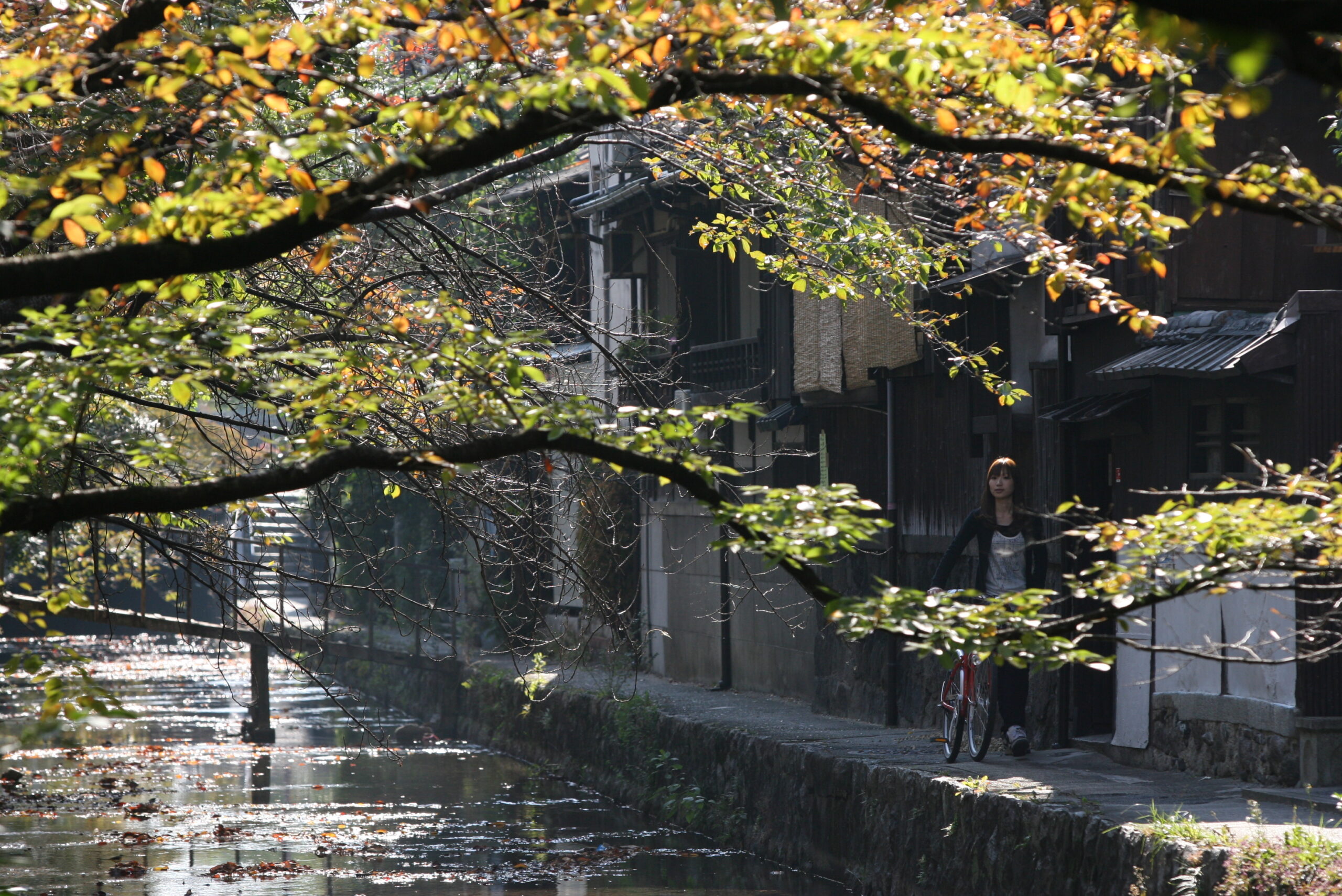 木屋町