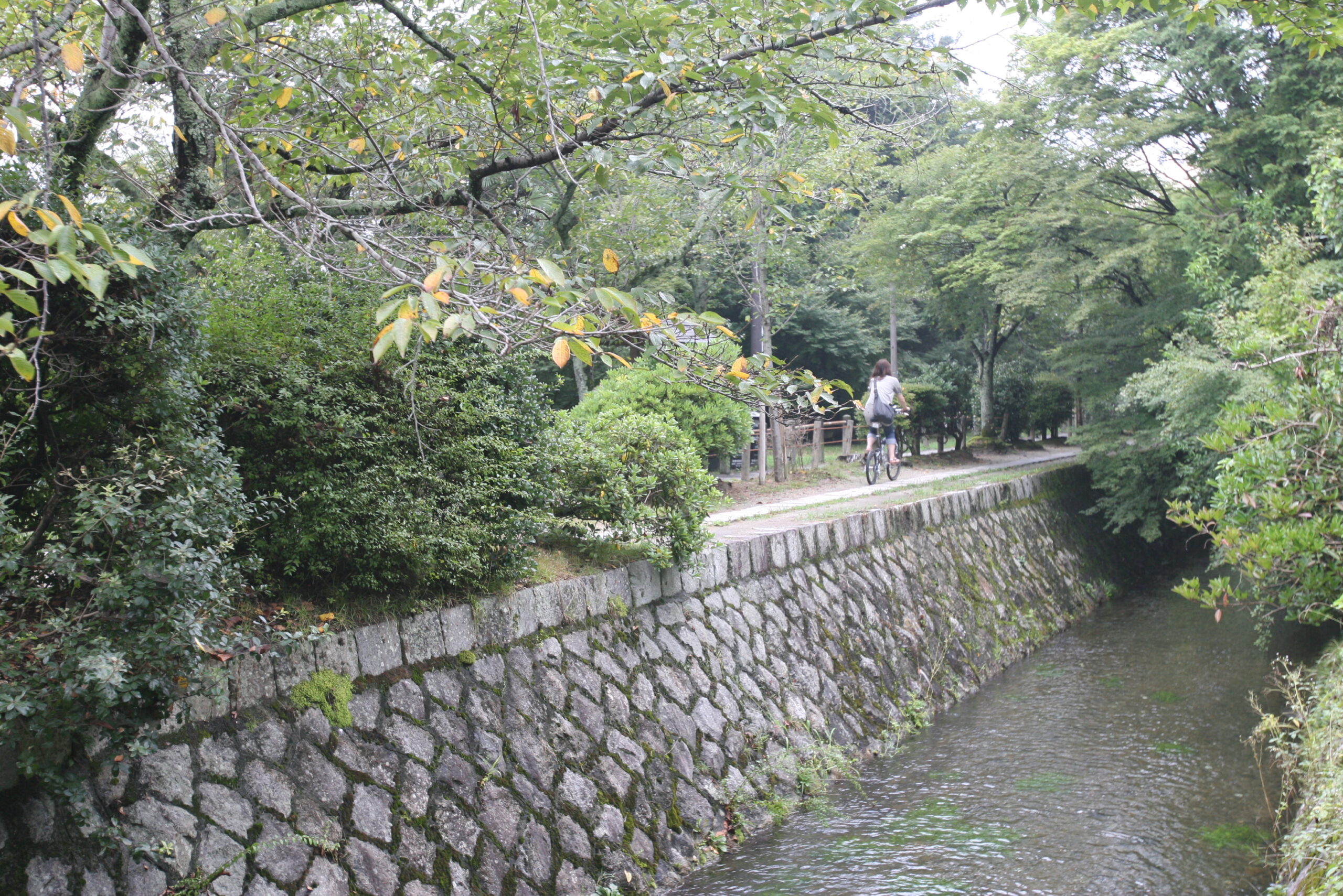 哲学の道