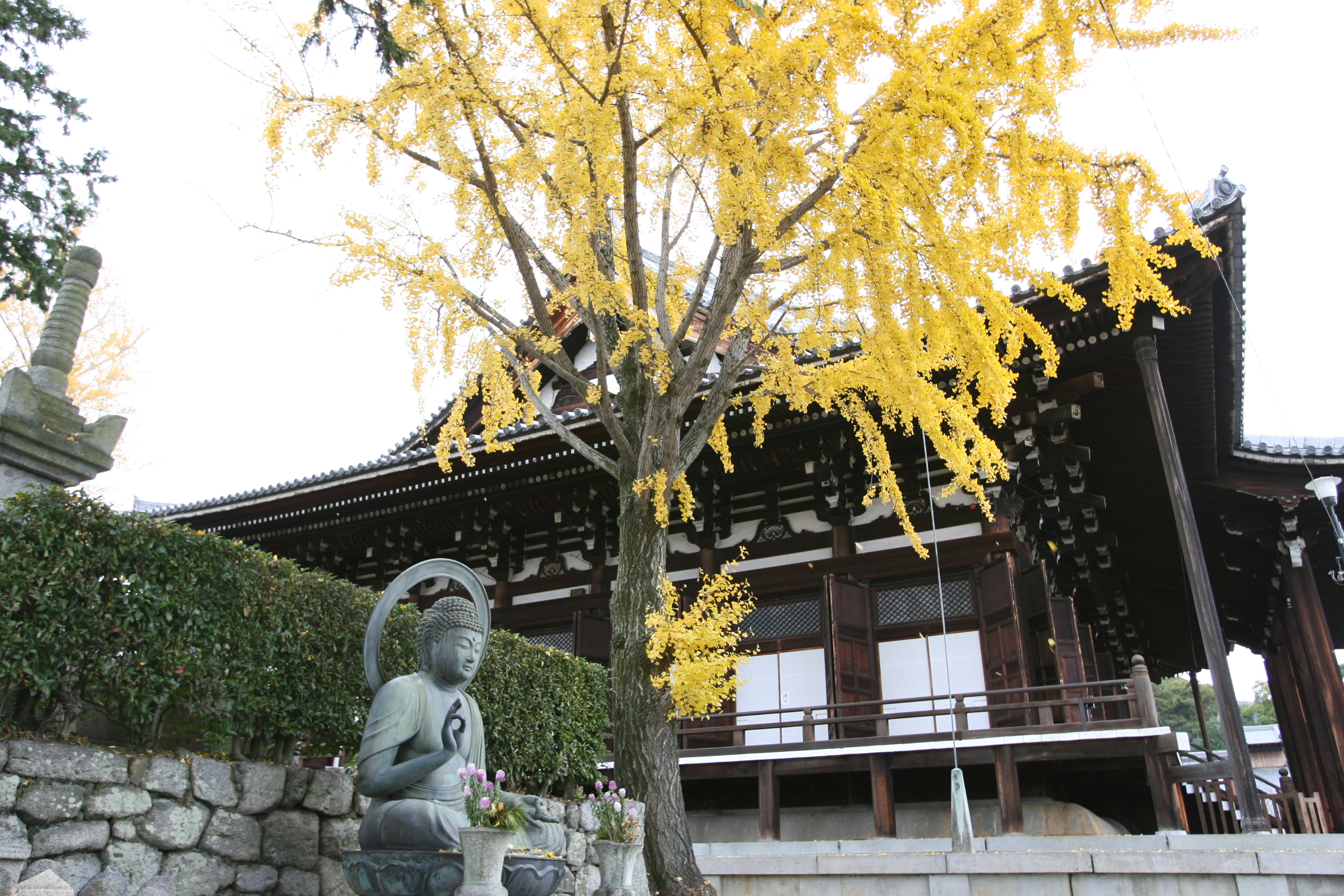 金戒光明寺