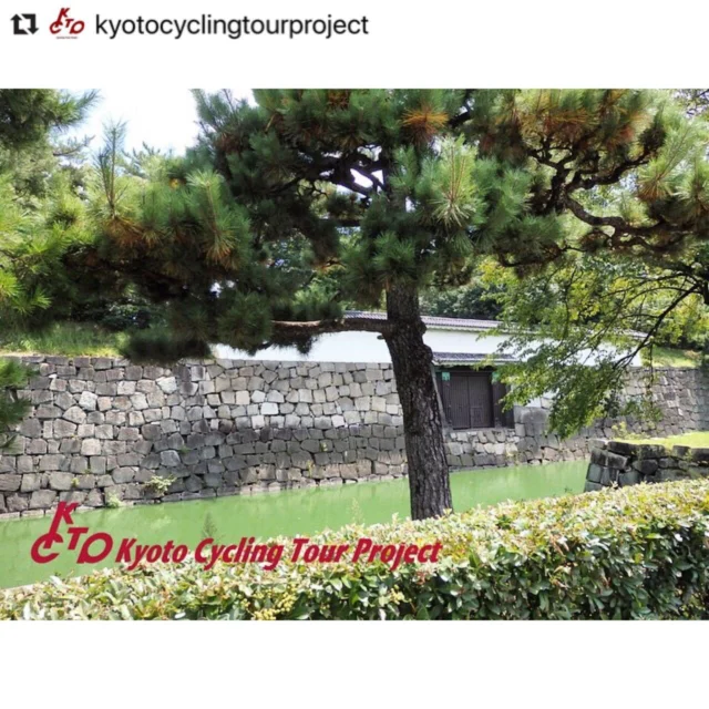 >>>25th July 2015
World heritage site, Nijo Castle! Color of moat was like Macha...🍵
世界遺産二条城のお堀が抹茶カラーだった日！
・
・
・
・
・
・
・
・
・
・
#throwback #japan #kyoto #sightseeing #mustvisitplace #worldheritagesite #worldheritage #nijojo #castle #nijocastle #moat #color #macha #traditional #architecture 
#京都 #観光 #世界遺産 #二条城 #お堀 #抹茶色 #歴史的建造物 #お城好きな人と繋がりたい #歴史を感じる