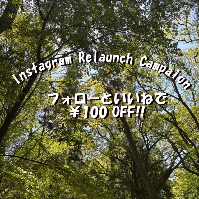 京都のレンタルサイクル＆サイクリングツアー、京都サイクリングツアープロジェクトです。

🎉 Instagram再開キャンペーン！ 🎉
Instagramの再開を記念して、1台あたり¥100引きのキャンペーンを実施！
５月７日～

💥 参加方法：
1️⃣ アカウントをフォロー
2️⃣ この投稿に「いいね！」
たったこれだけ！お手続きの際に画面を見せるだけで、自転車1台ごとに¥100割引いたします。
お得なこのチャンスをお見逃しなく！期間限定です🚲

Welcome to Kyoto Cycling Tour Project, offering rental cycles and guided cycling tours in Kyoto.

🎉 We’re Back on Instagram! 🎉
To celebrate our comeback, we’re offering a ¥100 discount per rental!
From 7th May

💥 How to get it:
1️⃣ Follow us
2️⃣ Like this post
That’s it! Just show us at the time of your transaction to receive ¥100 off per bike.
Don’t miss out – limited time only!

#kctp #kyototrip #cycling #京都 #自転車#Instagram再開 #フォローでお得 #期間限定キャンペーン #自転車レンタル#InstagramRelaunch #FollowAndSave #LimitedOffer #BikeRentalCampaign