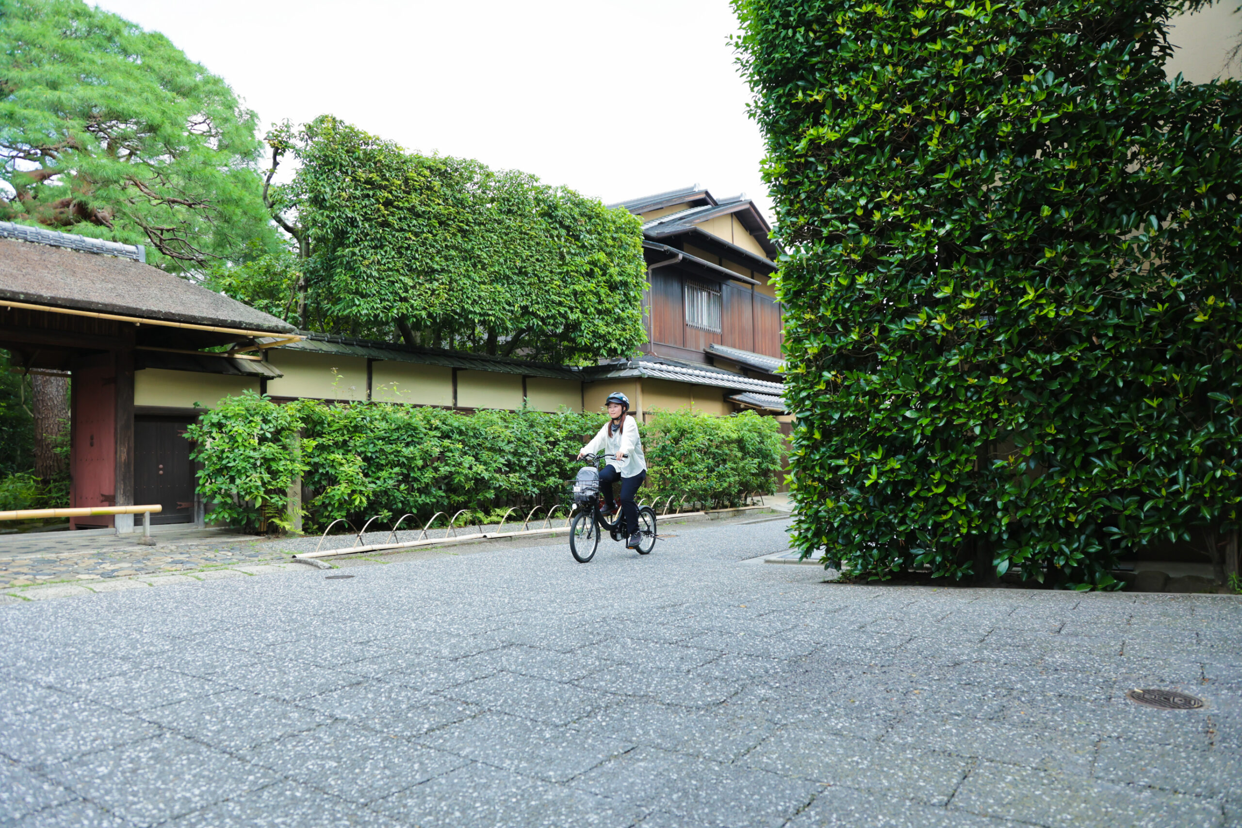 Near Urasenke Konnichian (The Historic Heart of Urasenke Tea Ceremony)