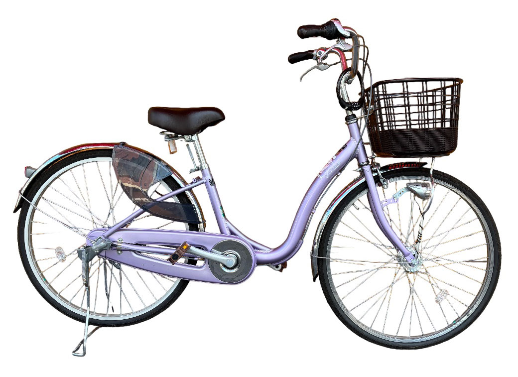 City Bike middle-class photo