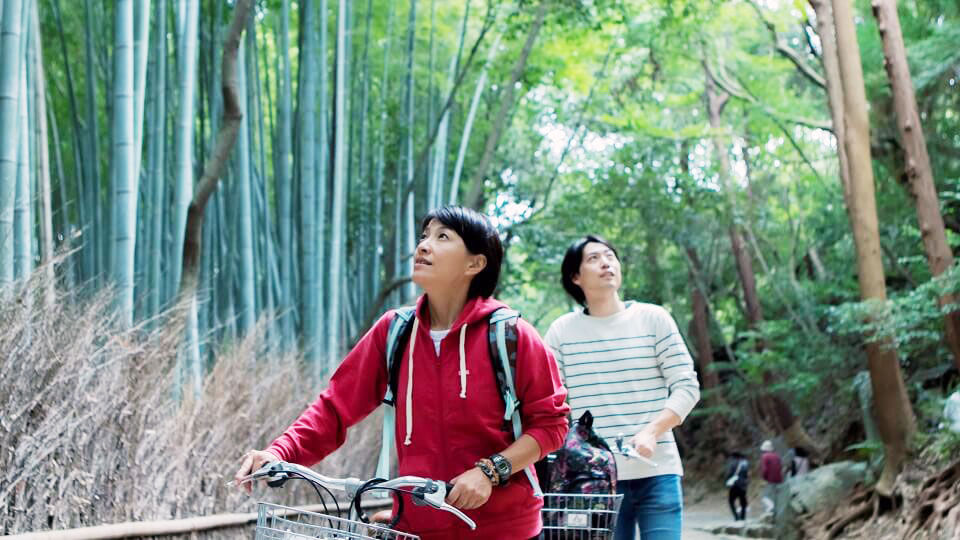 Arashiyama Bamboo Forest