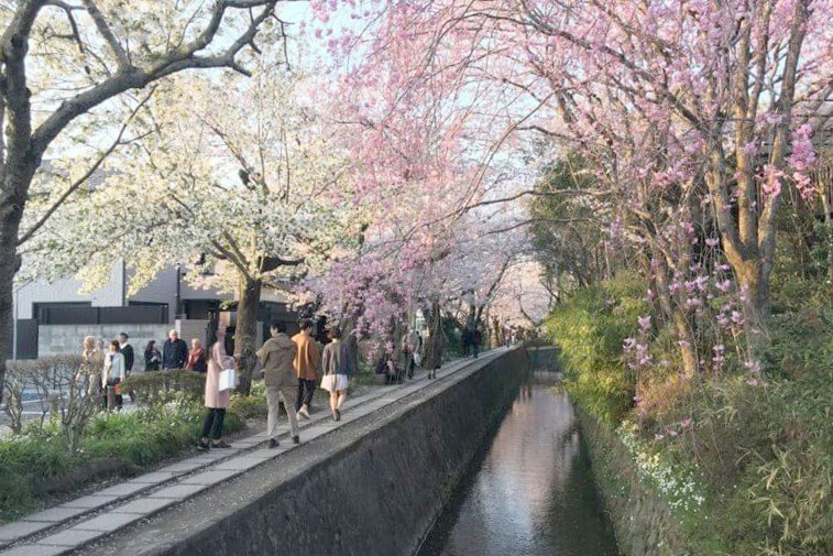 Philosopher’s Path
