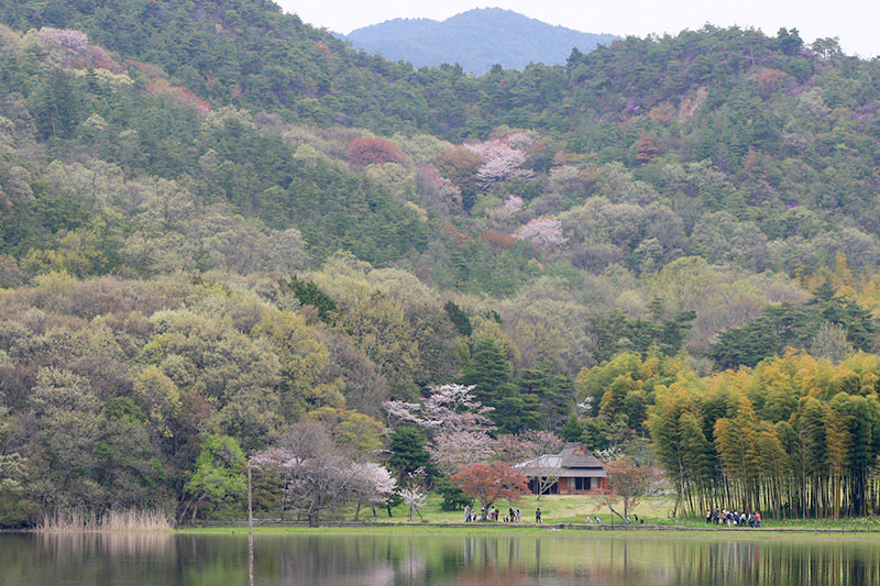 Hirosawa Pond