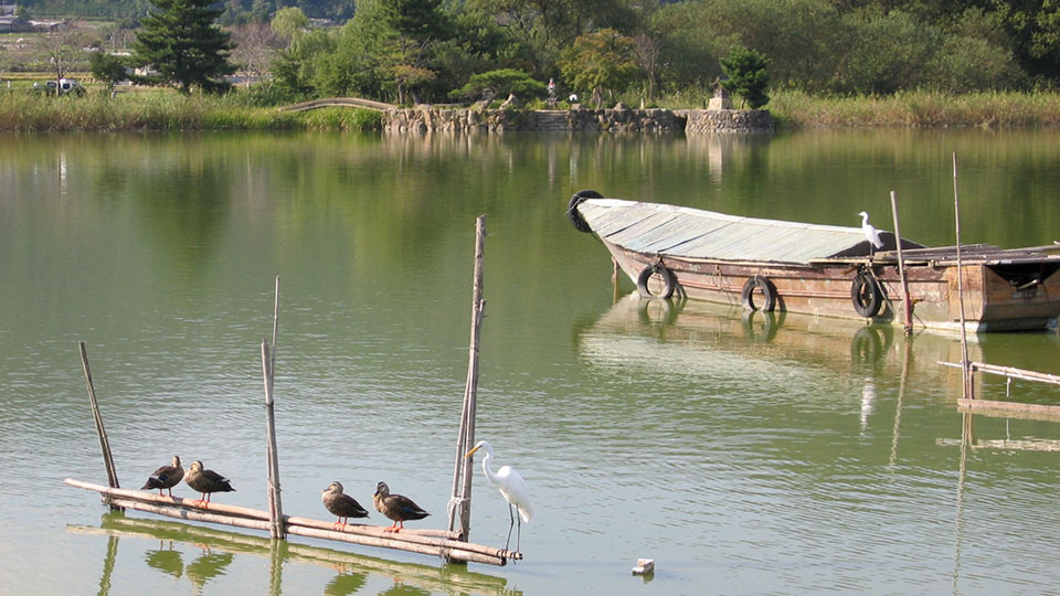 Hirosawa Pond2