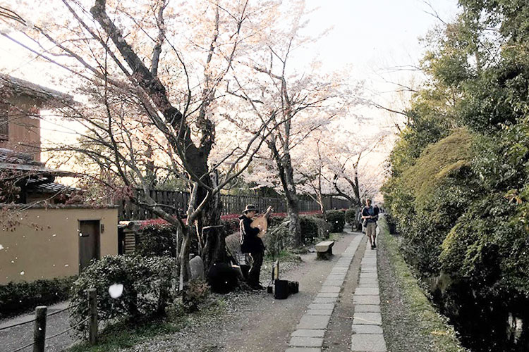 Philosopher's Path