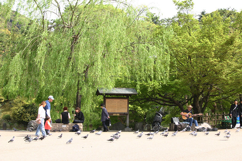 Maruyama Park